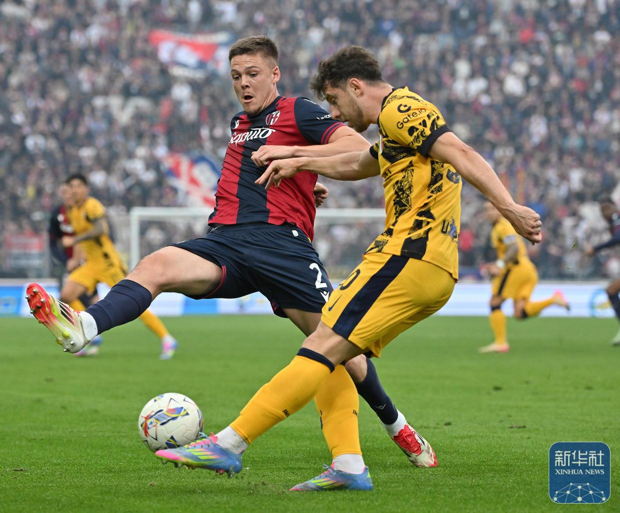 澳客app下载-博洛尼亚迎来胜利取得三分反弹态势明显的简单介绍