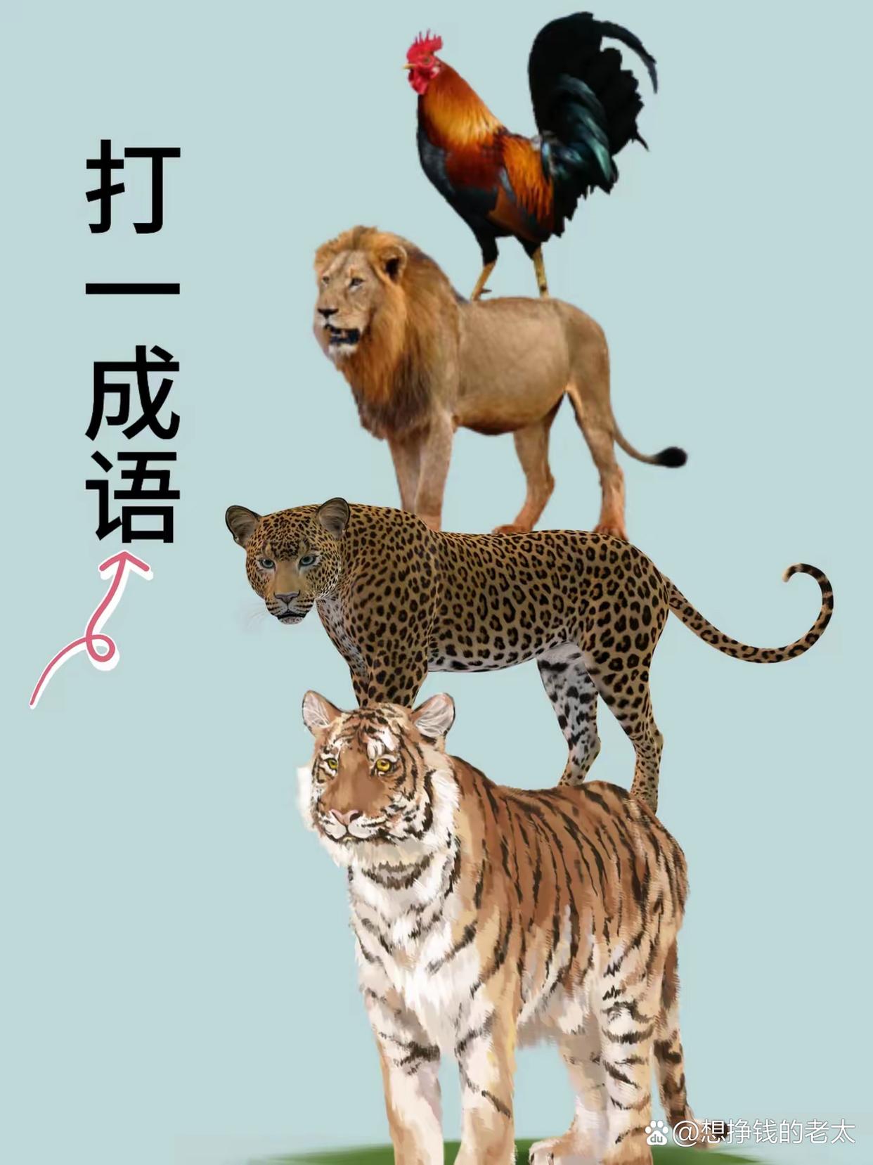 老鹰不敌公牛,遭遇连败